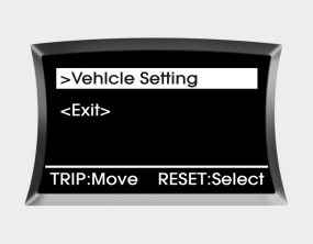 Hyundai Sonata: Vehicle setting. When the vehicle is at a standstill, pressing the TRIP button for more than 2