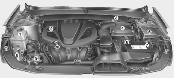 Hyundai Sonata: Engine compartment. 1. Engine coolant reservoir