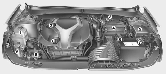 Hyundai Sonata: Engine compartment. 1. Engine coolant reservoir