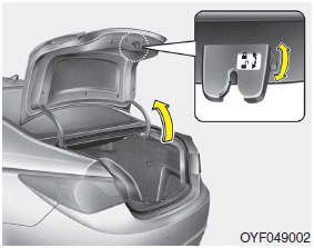 Hyundai Sonata: Restrictions in handling keys. Trunk