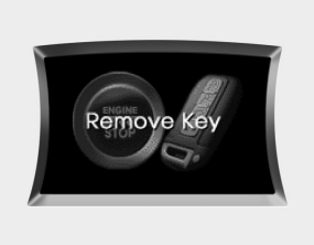 Hyundai Sonata: Warning on the LCD screen. Remove key