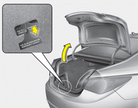 Hyundai Sonata: Emergency fuel filler lid release. An emergency fuel filler lid release is located in the luggage compartment, on