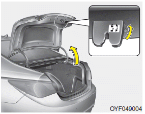 Hyundai Sonata: Trunk lid control switch. The trunk lid control switch is used to prevent unauthorized access to the trunk.