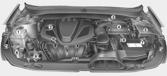 Hyundai Sonata: Engine compartment. 1. Engine coolant reservoir