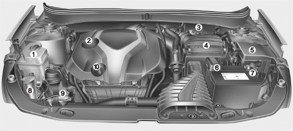 Hyundai Sonata: Engine compartment. 1. Engine coolant reservoir