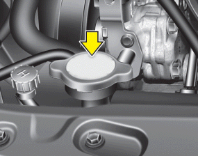 Hyundai Sonata: Checking the coolant level. WARNING