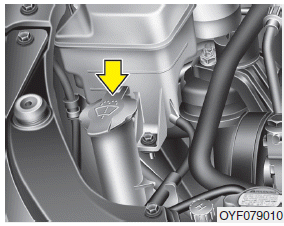 Hyundai Sonata: Washer fluid. The reservoir is translucent so that you can check the level with a quick visual