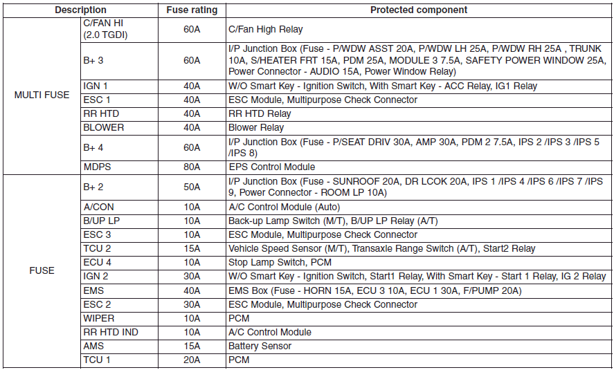 Hyundai Sonata: Fuse/relay panel description. 