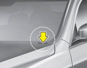 Hyundai Sonata: Vehicle identification number (VIN). VIN label